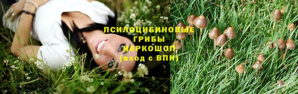 винт Заводоуковск