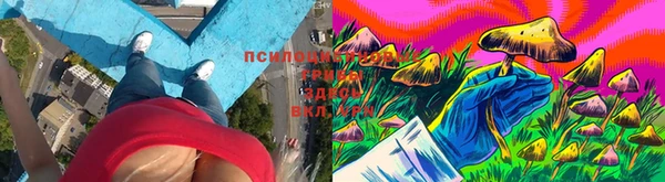 винт Заводоуковск
